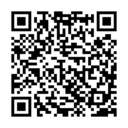 QR code for VZH599