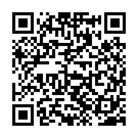QR code for VZI271
