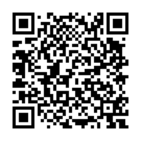 QR code for VZI411