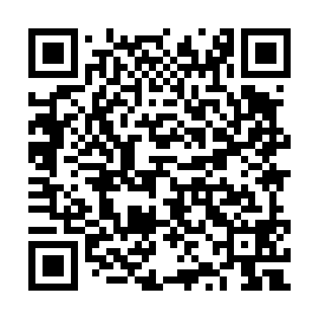 QR code for VZI498