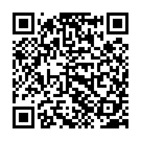 QR code for VZI589