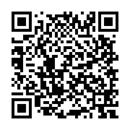 QR code for VZJ599