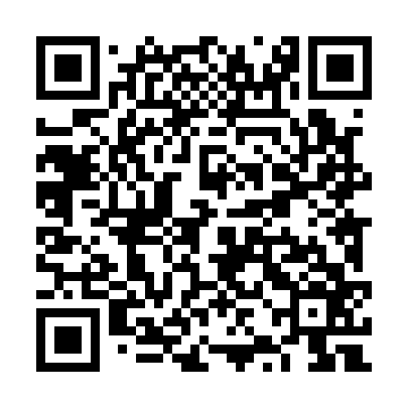 QR code for VZL166
