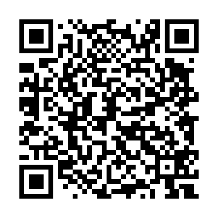 QR code for VZL419