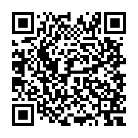 QR code for VZN541