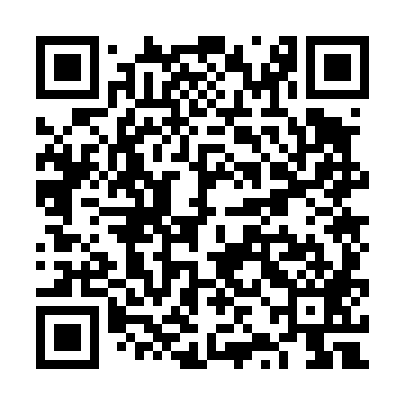 QR code for VZO489