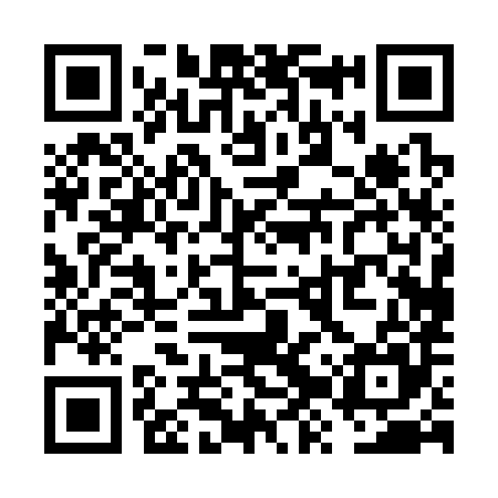 QR code for VZP385