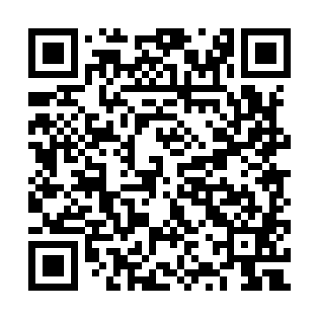 QR code for VZP981