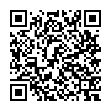 QR code for VZQ173