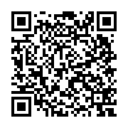 QR code for VZQ619