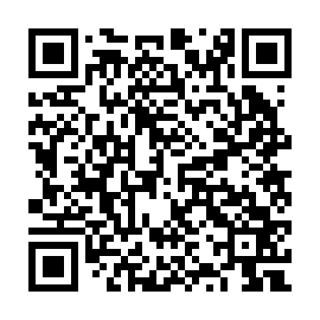 QR code for VZR263