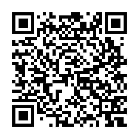 QR code for VZS371