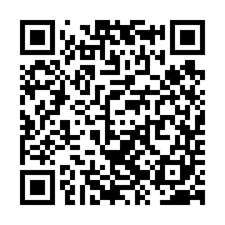 QR code for VZS641