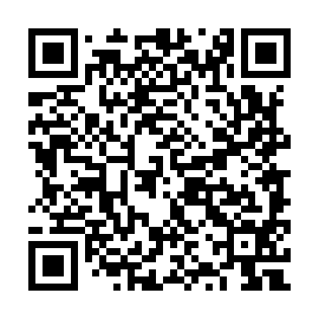 QR code for VZT994