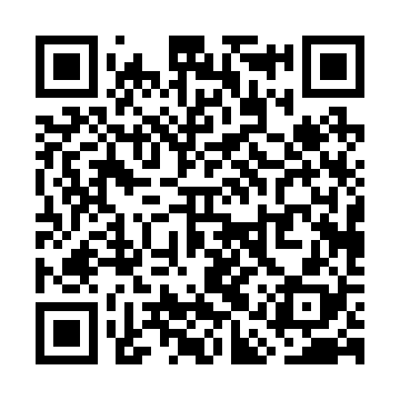 QR code for WAP228