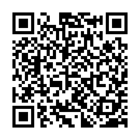 QR code for WAW389