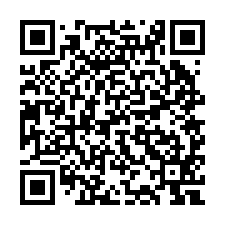 QR code for WBG295