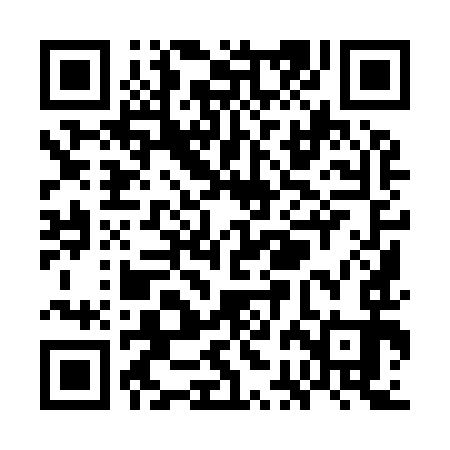 QR code for WBI993