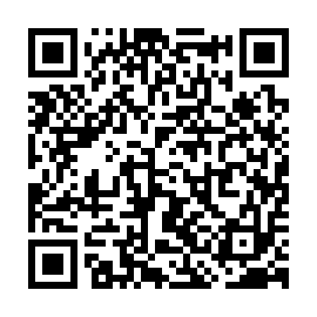 QR code for WCA313