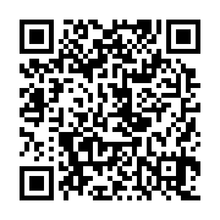 QR code for WDZ335