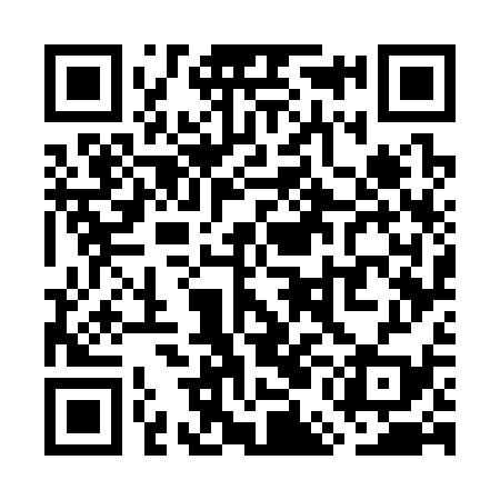 QR code for WEG339