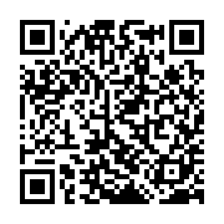 QR code for WEG381