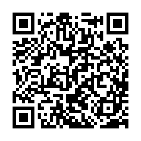 QR code for WEP383