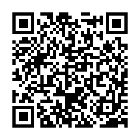 QR code for WER313
