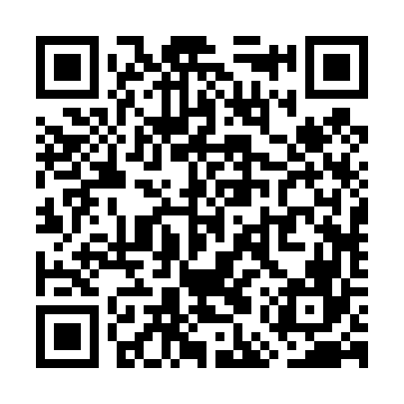 QR code for WER466