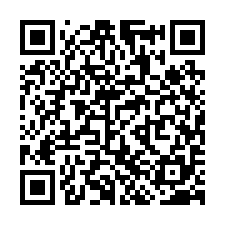 QR code for WFE295