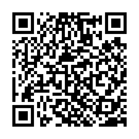 QR code for WFG638