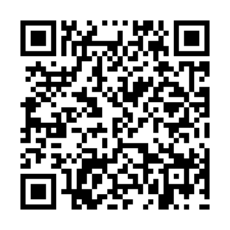 QR code for WFL999