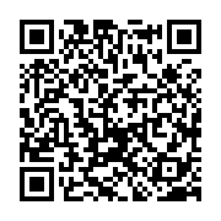 QR code for WFX938
