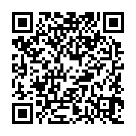 QR code for WGL381