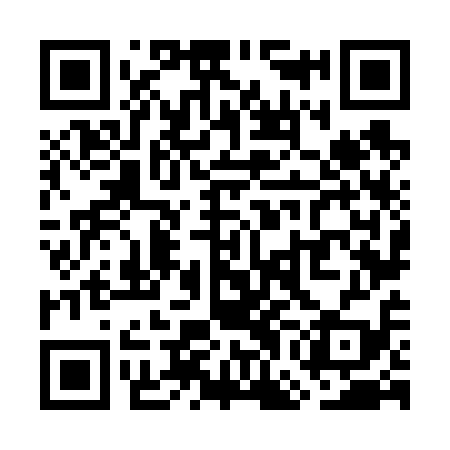 QR code for WGN619