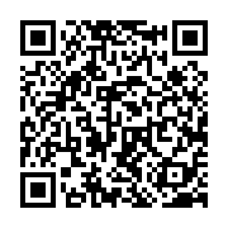 QR code for WGT119
