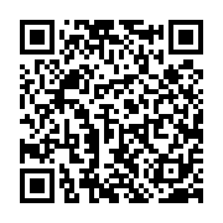 QR code for WGT511