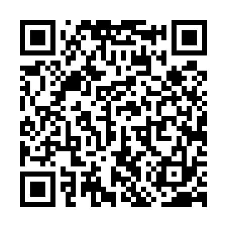 QR code for WGT533