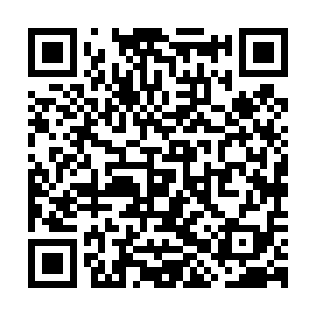 QR code for WHX419