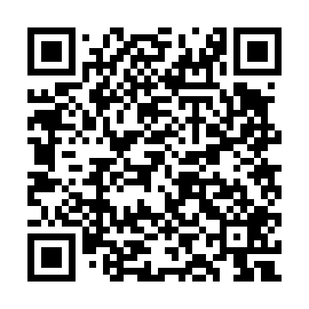QR code for WIB409
