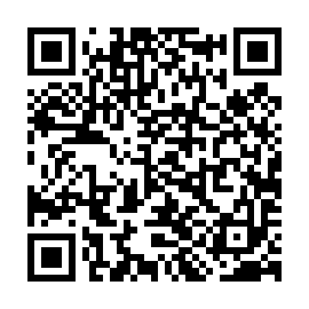QR code for WID493