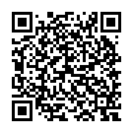 QR code for WIE296