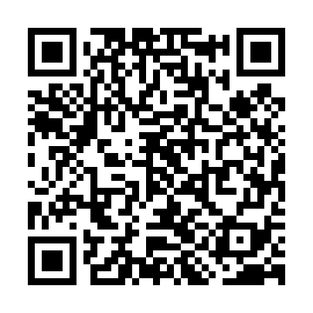 QR code for WIE479