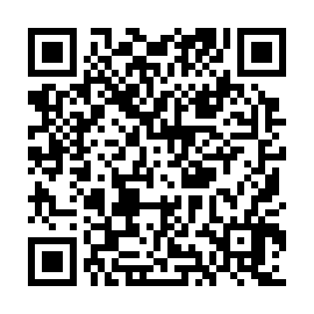 QR code for WII306