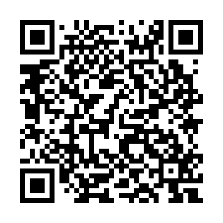 QR code for WII317