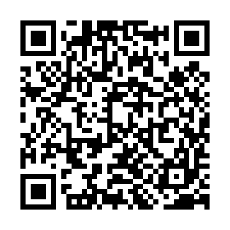 QR code for WII497