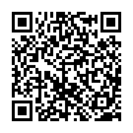 QR code for WIP295
