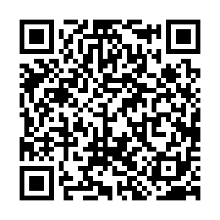 QR code for WIP311