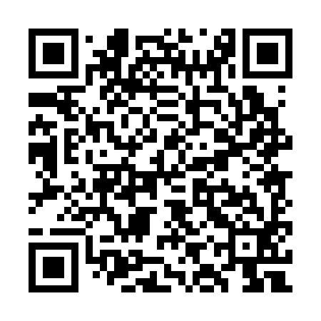 QR code for WIP392
