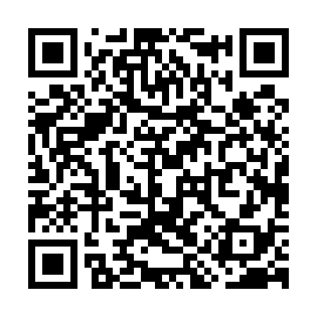 QR code for WIP538